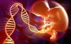新生儿遗传病试验可加速诊断