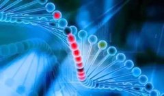 遗传学的突破改变了人们对DNA的思考