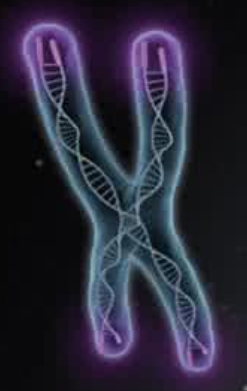 染色体为什么会异常,异常的原因有哪些？