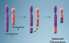 染色体结构变化会对健康有什么影响