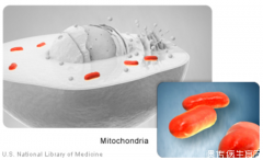 Kearns-Sayre综合征是什么病